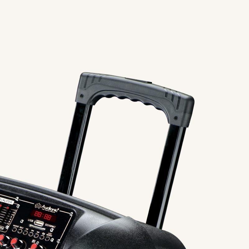 Royal-10 | Audionic 15" Trolley Speaker - Image 4